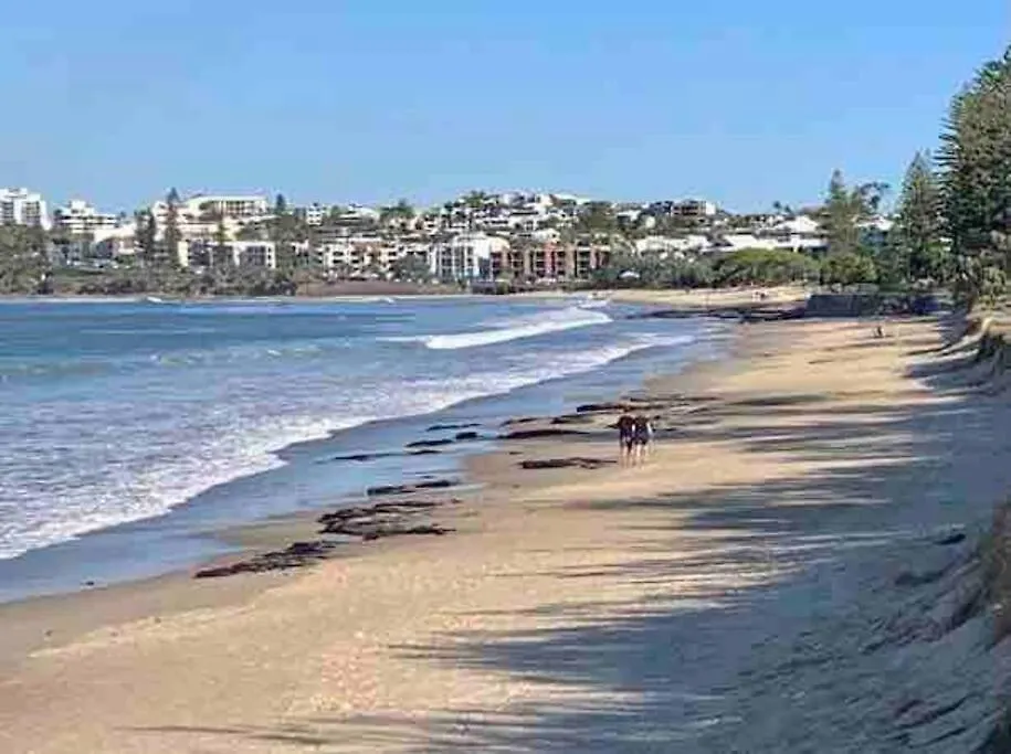 Panoramic Ocean View 2 Bed 2 Bath Lägenhet Alexandra Headland